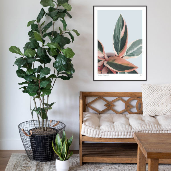 Triostar Stromanthe painting of houseplant in pinks and greens. Wall Art for your home by Studio Peers