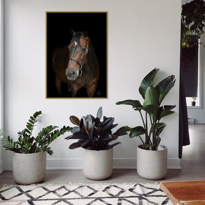 Custom Hand Painted Pet Portrait of Horse Equestrian