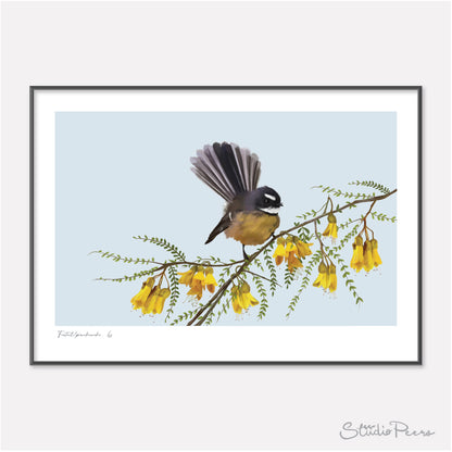 Fantail / pīwakawaka