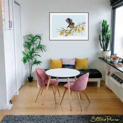 Fantail / pīwakawaka