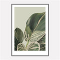 Painting of a Philodendron birkin in digital oils by Studio Peers