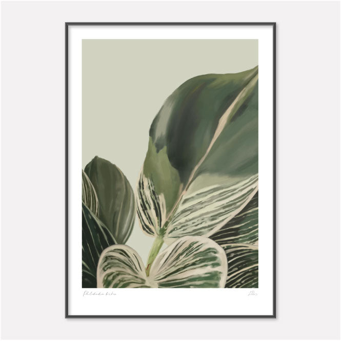 Painting of a Philodendron birkin in digital oils by Studio Peers