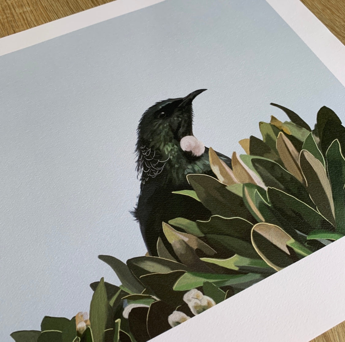Limited Edition Native New Zealand Tui Painting.  Wall art by Emma Peers