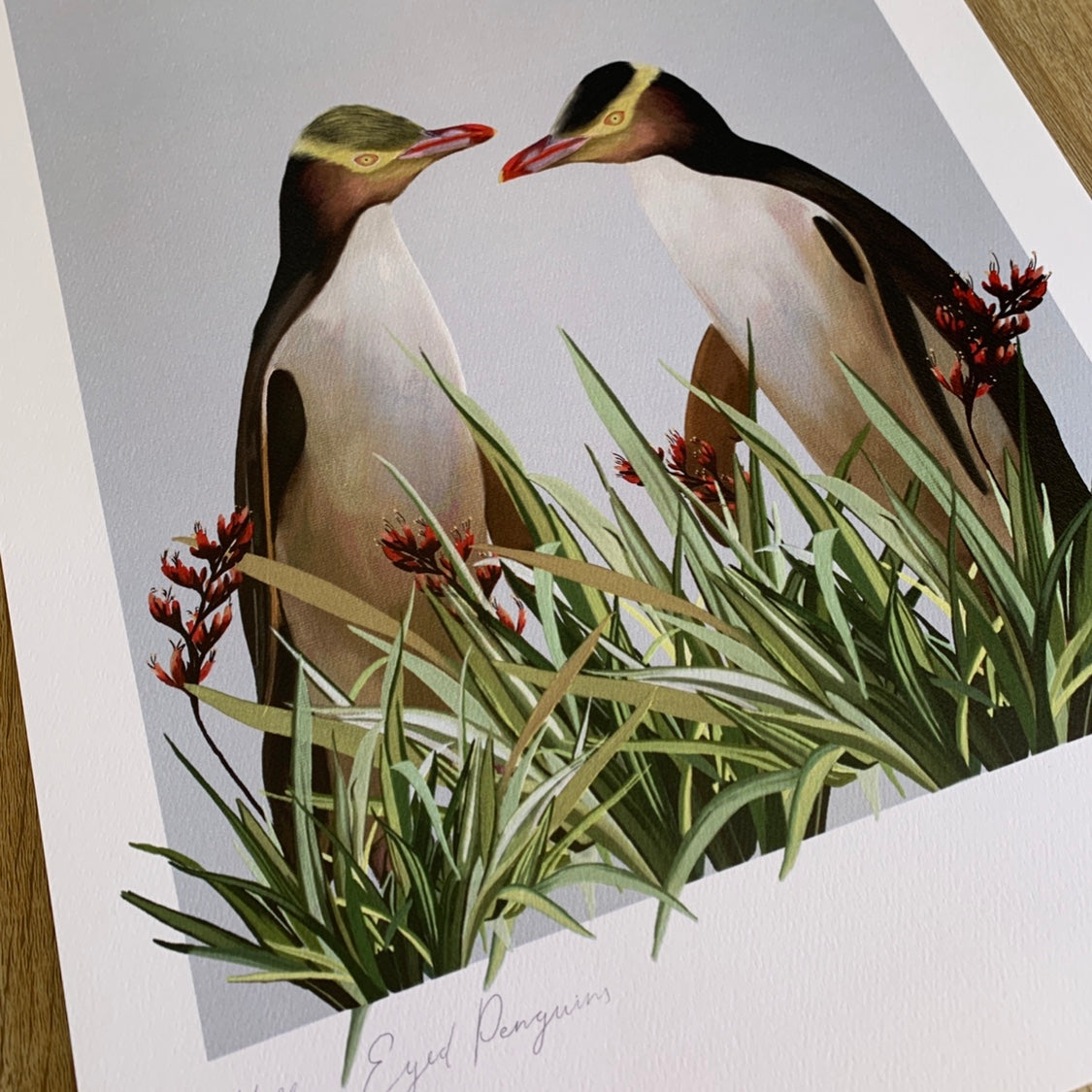 Native New Zealand Yellow Eyed Penguin Painting with harakeke flax plant. Wall art by Emma Peers